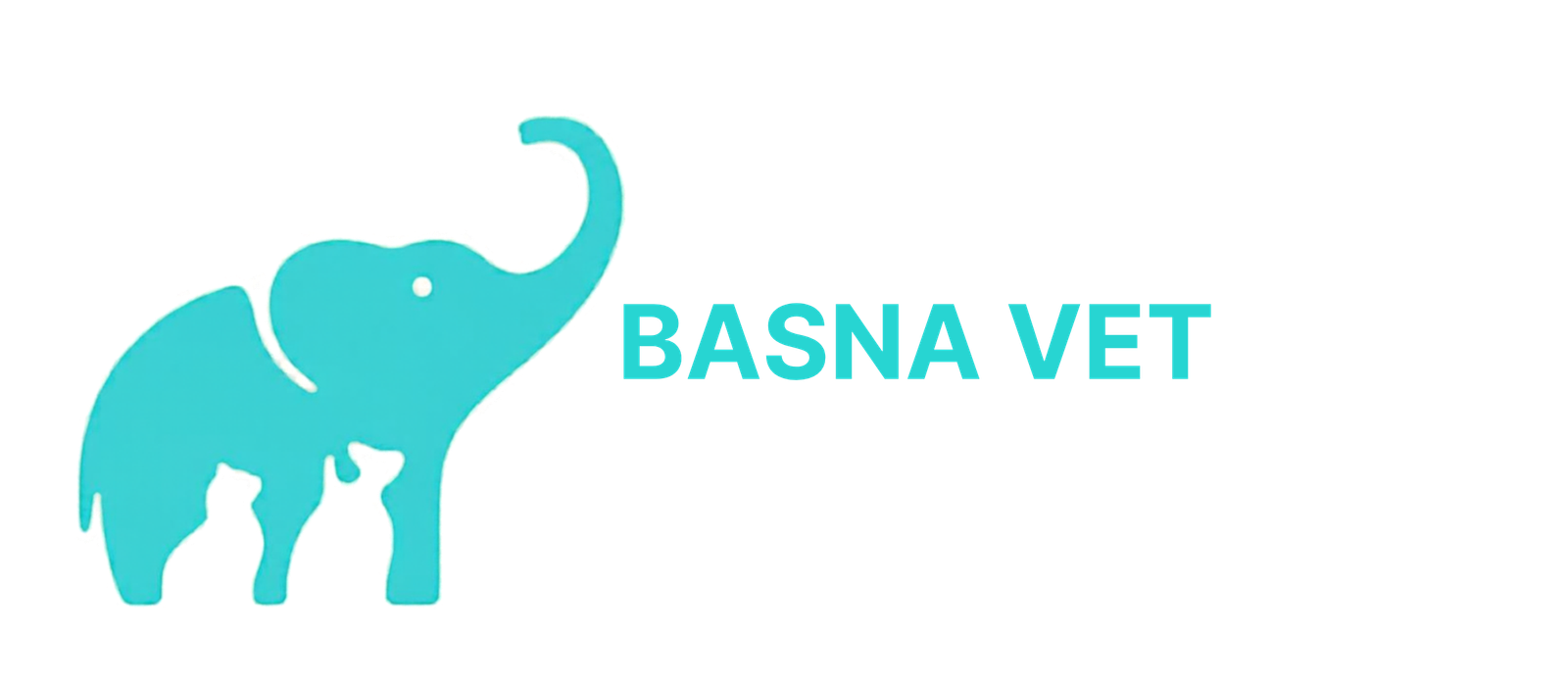 Basna